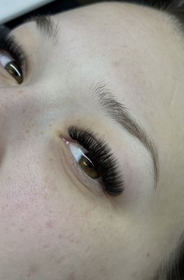 Volume Lashes