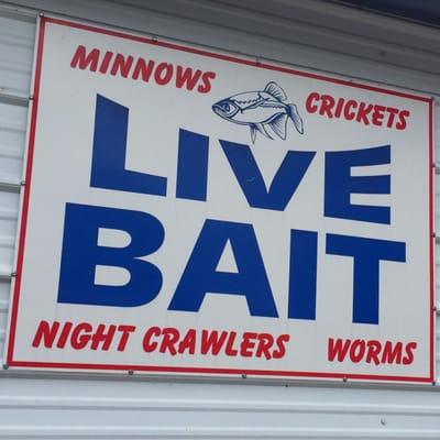 LIVE BAIT at Pulliam's