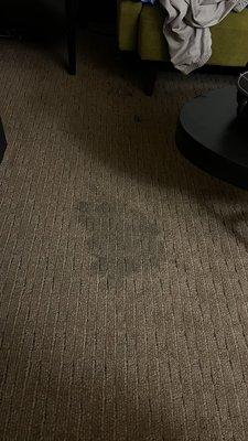 Another stain on the floor. Plus a mystery musty smell throughout the room.