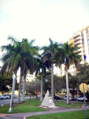 Palm lined Island in downtown Coral Gables.