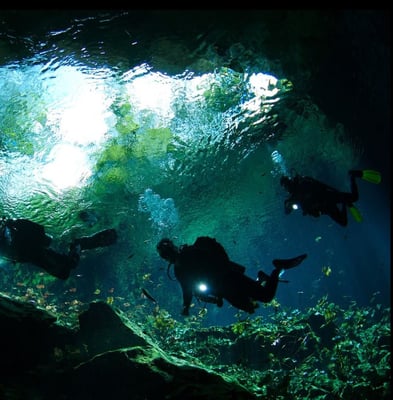 Come adventure with us! We book SCUBA dive travel all year long.