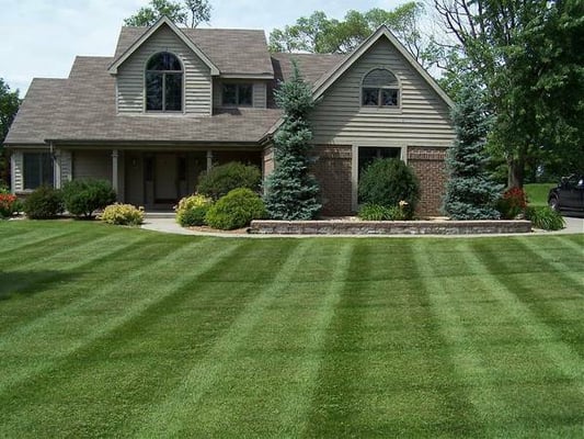 Pro Lawn Care