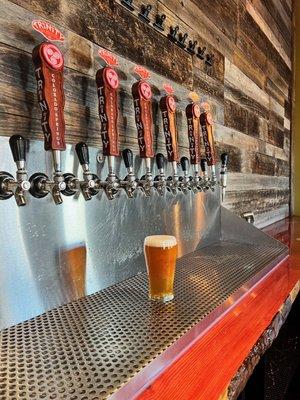 14 Craft Beers on tap