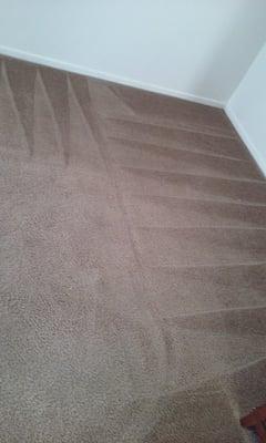 Adrian's Carpet Cleaning