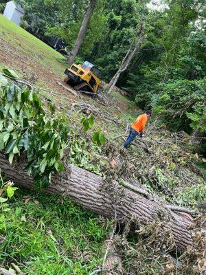 We removed a massive oak tree that was dangerously close to a home. Our team prioritized safety, ensuring the job was done efficiently with