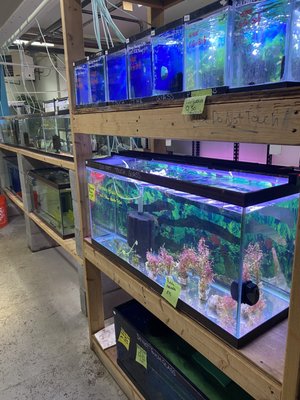 Some fish tanks