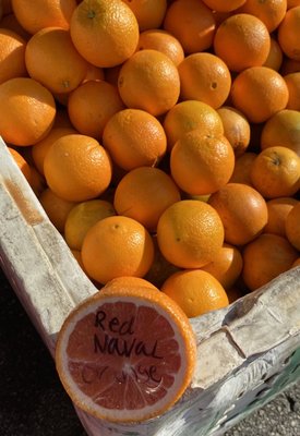 Well orange you just special! Red Navel oranges (Cara Cara). Yes they are sweet! (･‿･) / I believe I was born to LOVE oranges.