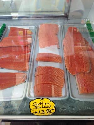 Scottish salmon--- wow!!!