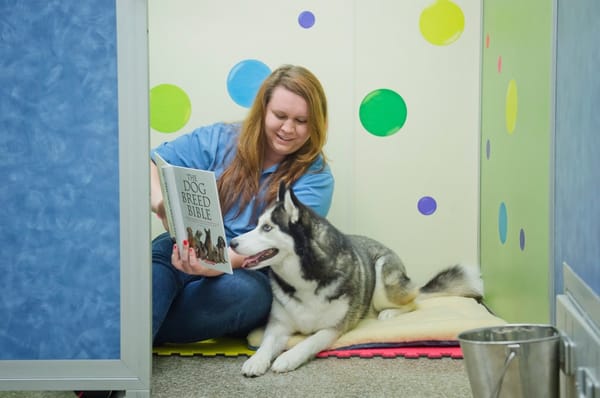 Roxy is enjoying her Story Time and Tuck-In. I wonder which breed they are reading about? Ask us how to get your pup signed up today!