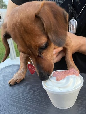 PUP CUP "yummy" says Jack! (7/19/22)