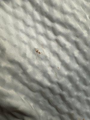 Poop on the linen.