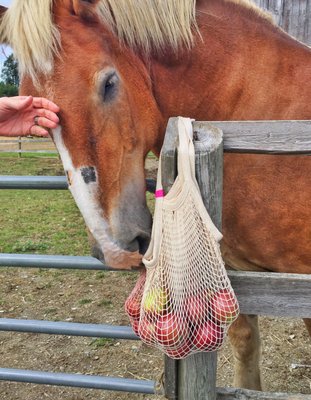 The French Market Bag