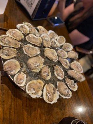 Raw oysters