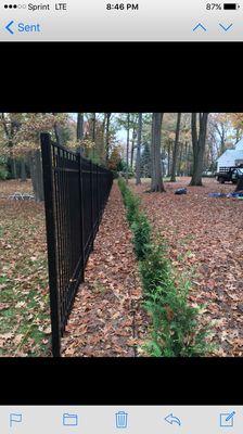 Black aluminum fence