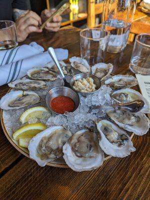 Dozen oysters