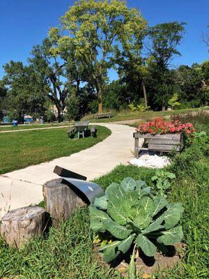 Great place to take a quick walk outside & bask in the wild flower restoration efforts!