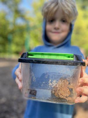 At Deep Roots School, our children grow a fascination for the natural world. We are always searching for frogs and bugs.