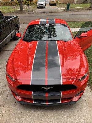 red mustang detail