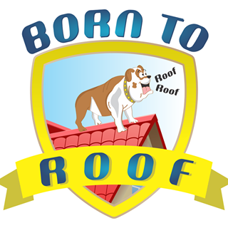 Born To Roof