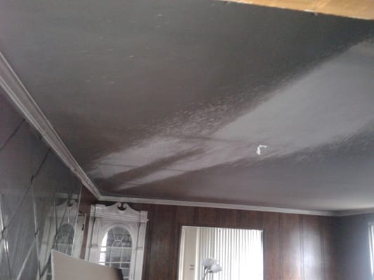 Smoked damaged ceiling