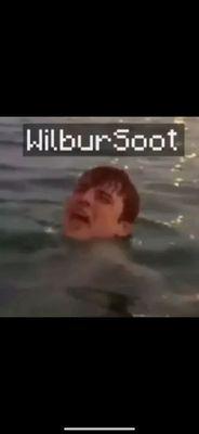 Wilbur soot