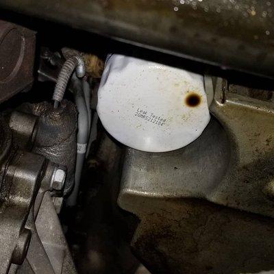 Oil dripping from oil  filter.