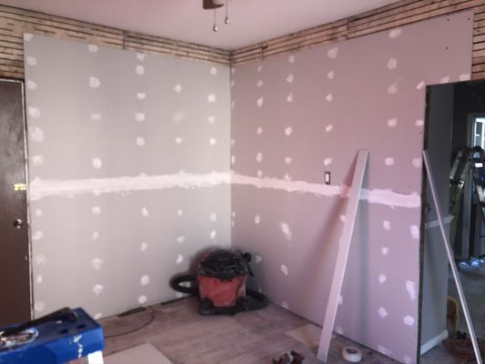 Mold remediation