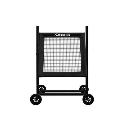 All ball pro rebounder