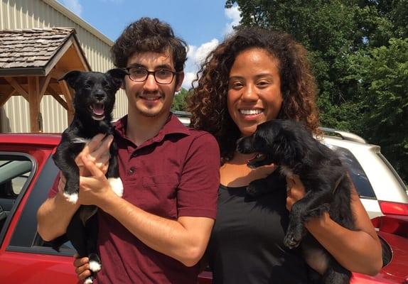 Puppies with their parents.