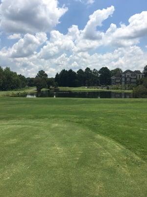 One of the water holes. The island is a tough hole.