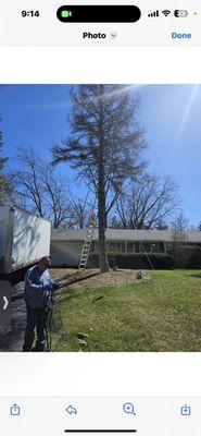 The one tree he took down and guy with box truck .