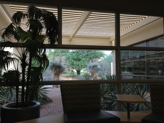 Beautiful view of the desert from the library windows