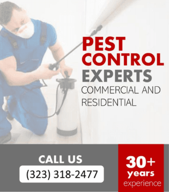 Call us today: (323) 318-2477