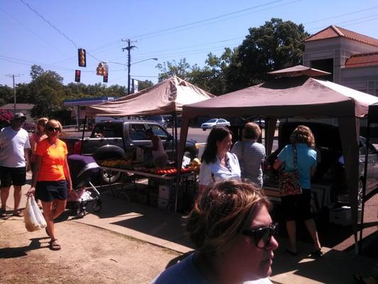 Hernando Farmers Market