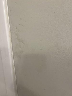 Roommates wall next to shower