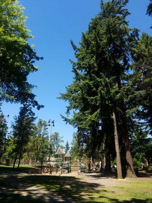 Great playground at Hiawatha Playfield with dappled shade.