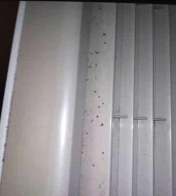 Air conditioner vent mold