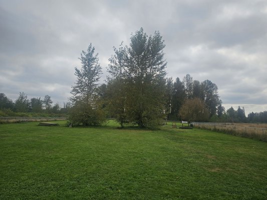 Huge park all fenced in .