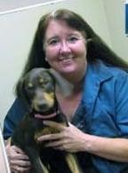 Biloxi Animal Hospital