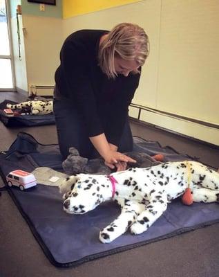 Pet First Aid CPR Class using specially designed cat and dog  mannikins