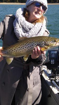 Brown trout