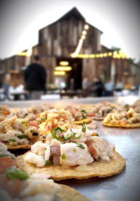 Shrimp Tostados