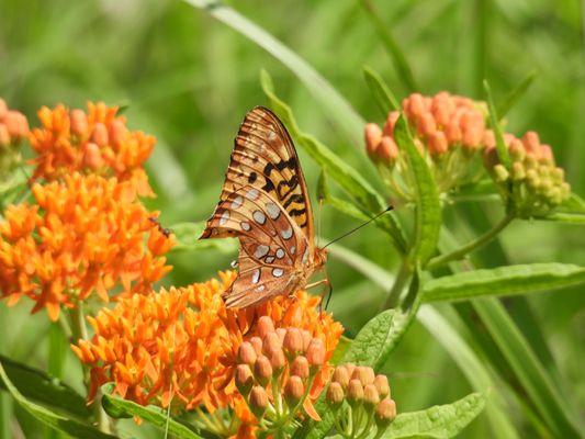 Fernald Preserve