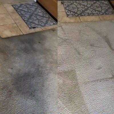 Harris Carpet Cleaning