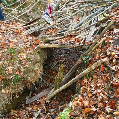 November 2019: kid-built fort I gully