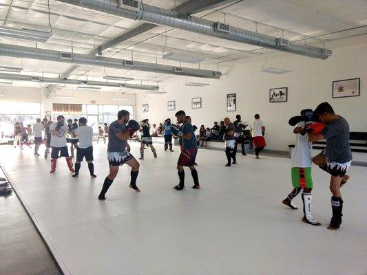 Team Tooke Cypress Kickboxing Classes