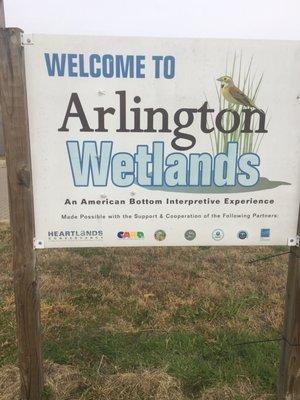 Arlington Wetlands