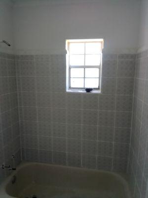 Finish shower painted walls