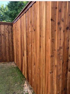 8ft Western Red Cedar, Board-on-Board, with a top cap-board and one piece of trim.