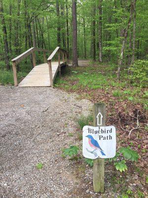 One of the many trails... We DID view a bluebird on this walk